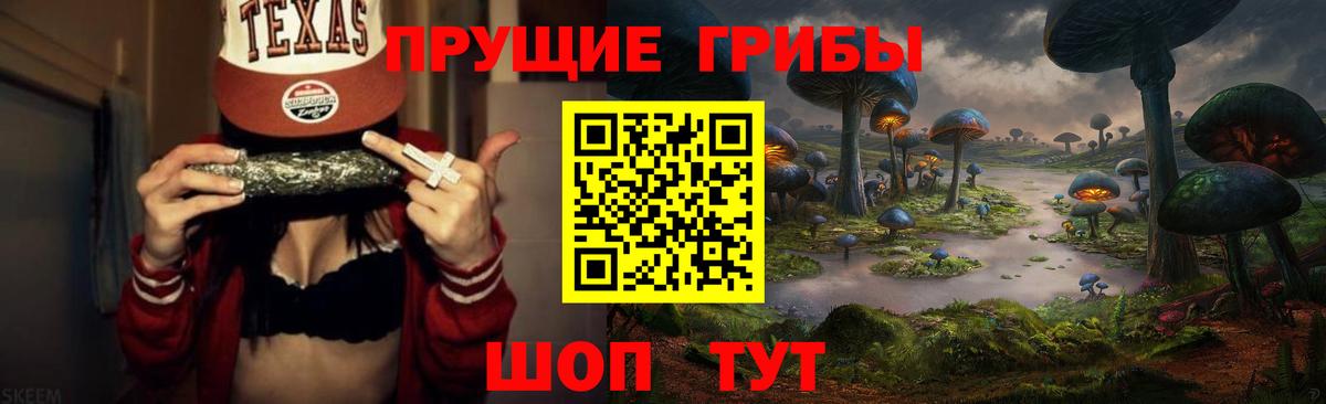 Бердск  Галлюциногенные грибы Psilocybe  Вход с VPN  Галлюциногенные грибы MAGIC MUSHROOMS 
